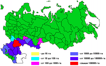 ���. ������������� ��������, ���������� �������� �������� � ������ (2001 �.).