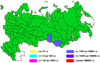 ���. 1. ��������������� ������ ������� �������������� � ������ (2001 �.).